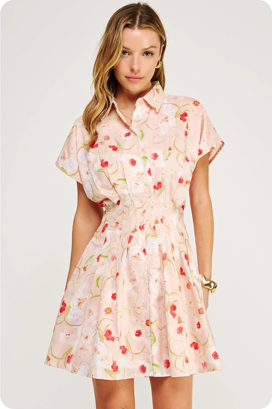 Lydia Collared Mini Dress